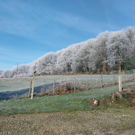 Gite En Lisiere De Foret Andaine Perrou 외부 사진